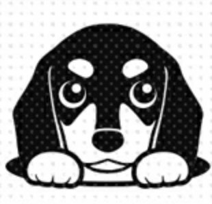 スクリーンショット 2020-11-20 22.51.19